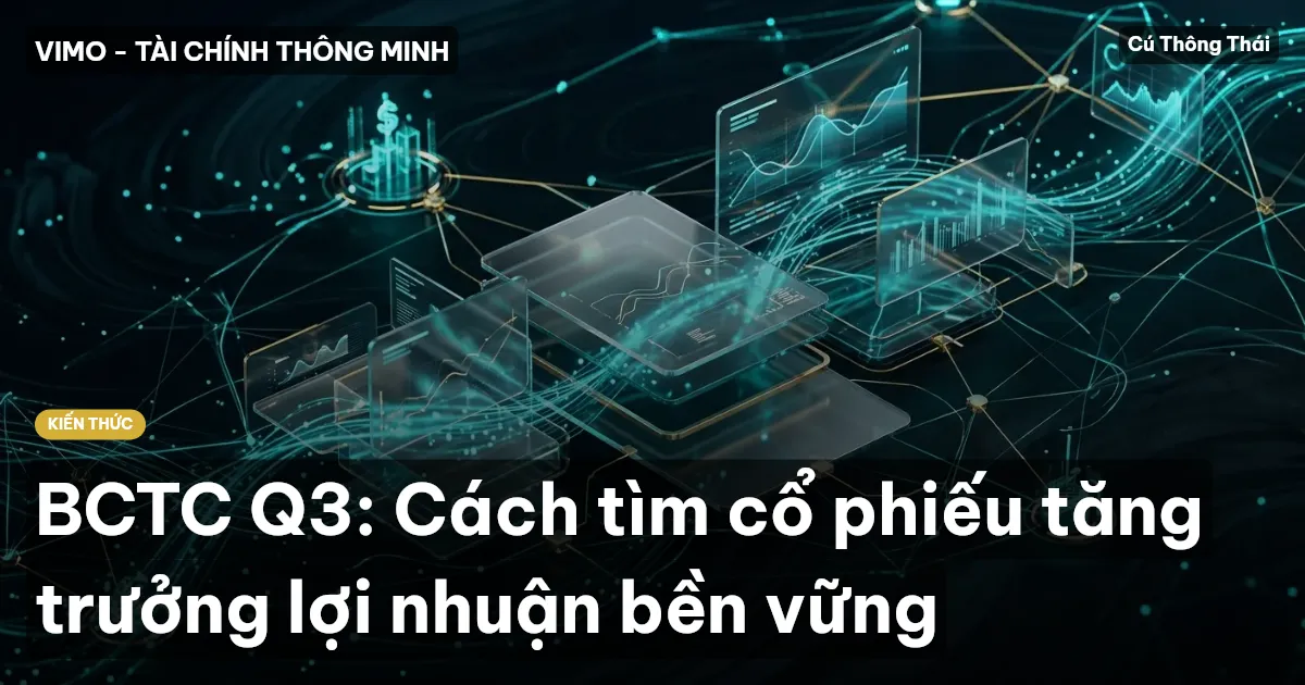 BCTC Q3: Cách tìm cổ phiếu tăng trưởng lợi nhuận bền vững