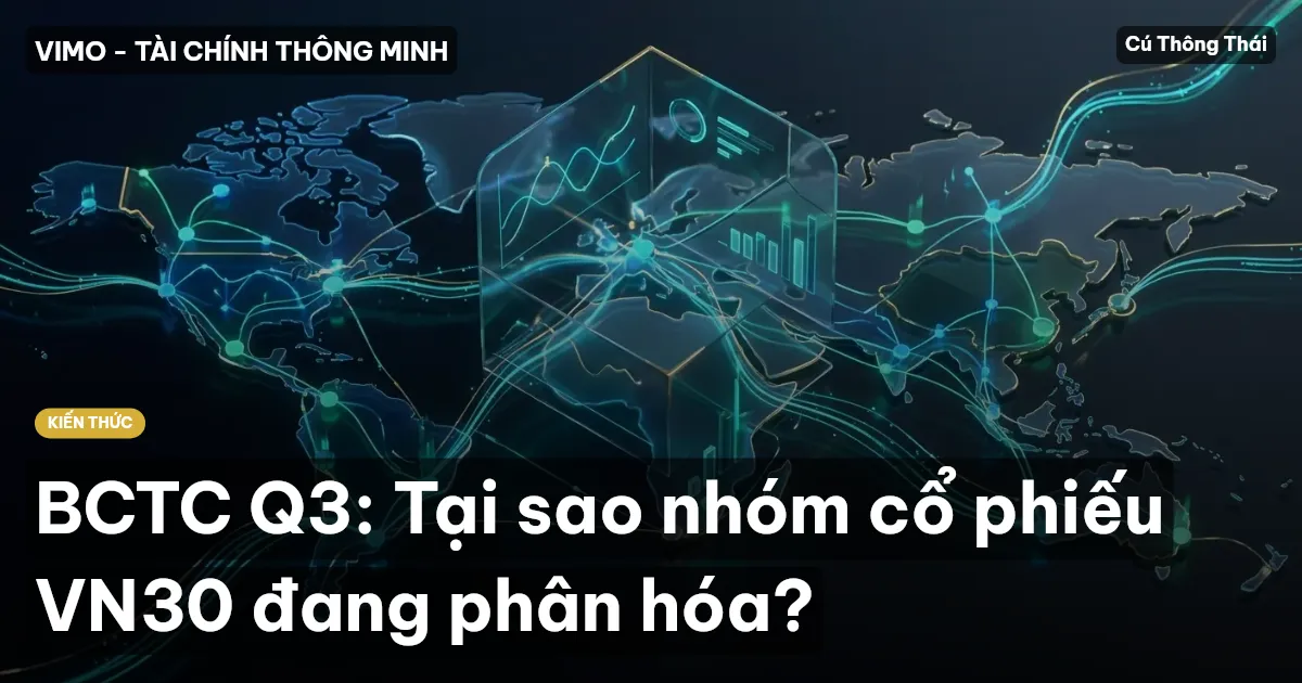 BCTC Q3: Tại sao nhóm cổ phiếu VN30 đang phân hóa?
