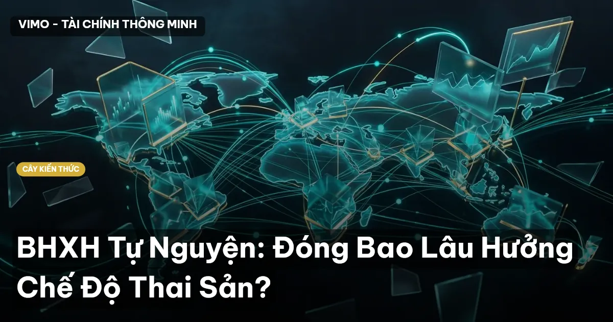 BHXH Tự Nguyện: Đóng Bao Lâu Hưởng Chế Độ Thai Sản?