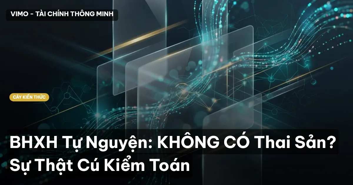 BHXH Tự Nguyện: KHÔNG CÓ Thai Sản? Sự Thật Cú Kiểm Toán