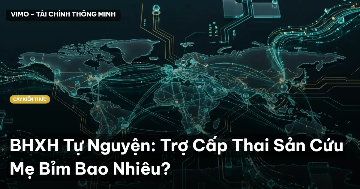 BHXH Tự Nguyện: Trợ Cấp Thai Sản Cứu Mẹ Bỉm Bao Nhiêu?
