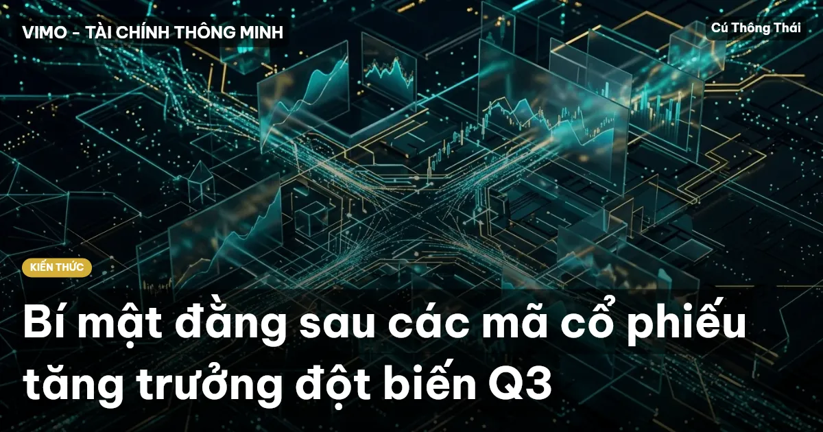 Bí mật đằng sau các mã cổ phiếu tăng trưởng đột biến Q3
