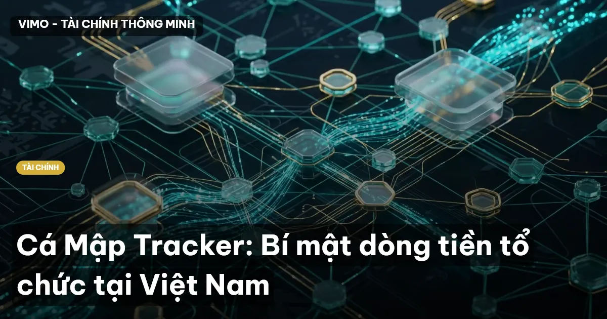 cá mập tracker