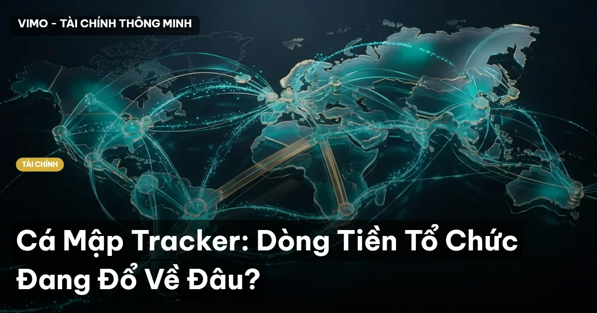 cá mập tracker