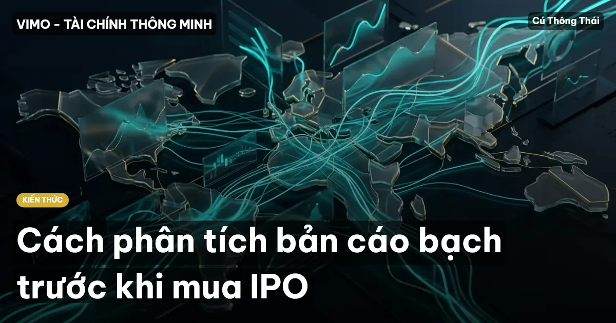 Cách phân tích bản cáo bạch trước khi mua IPO