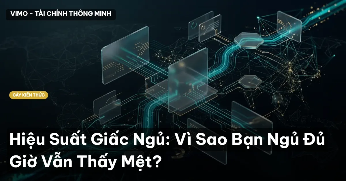 Hiệu Suất Giấc Ngủ: Vì Sao Bạn Ngủ Đủ Giờ Vẫn Thấy Mệt?