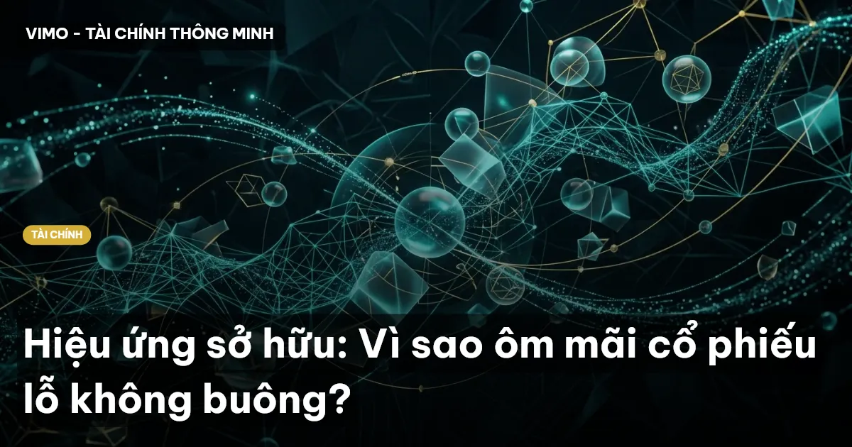 hiệu ứng sở hữu