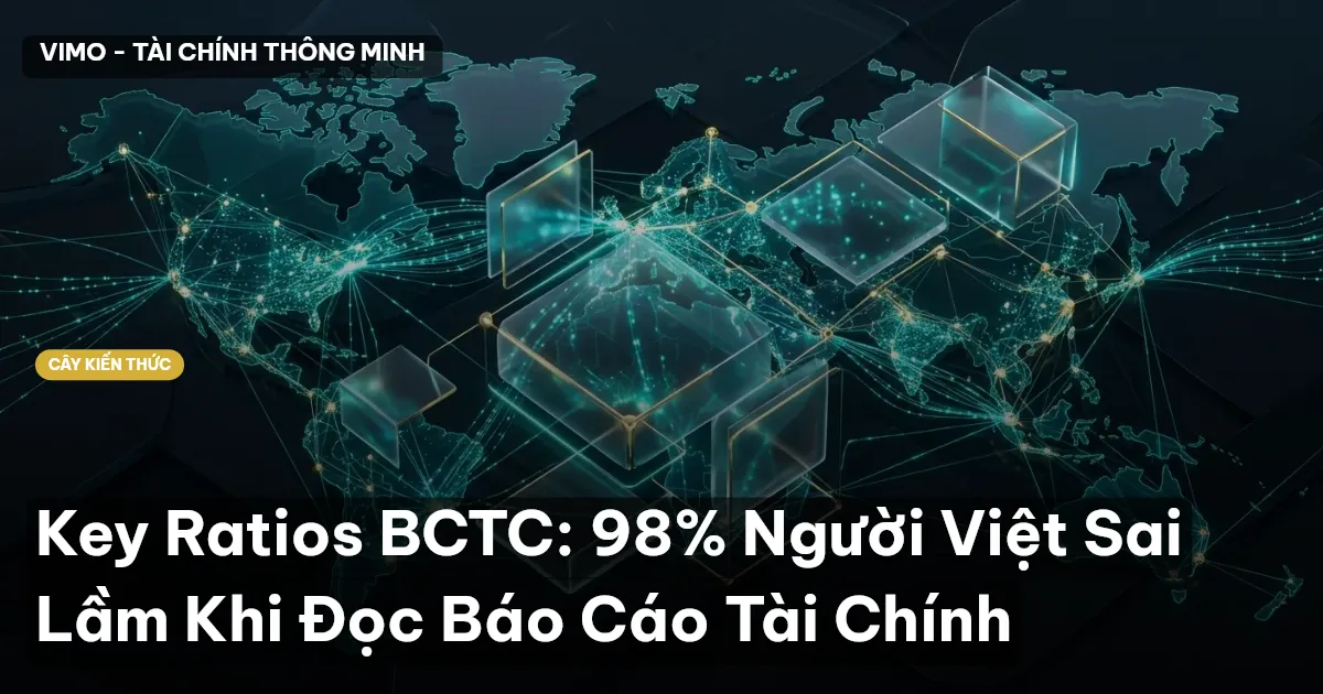 Key Ratios BCTC: 98% Người Việt Sai Lầm Khi Đọc Báo Cáo Tài Chính