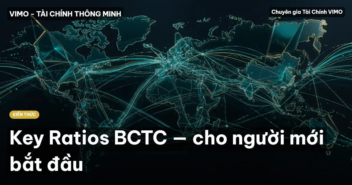 Key Ratios BCTC — cho người mới bắt đầu