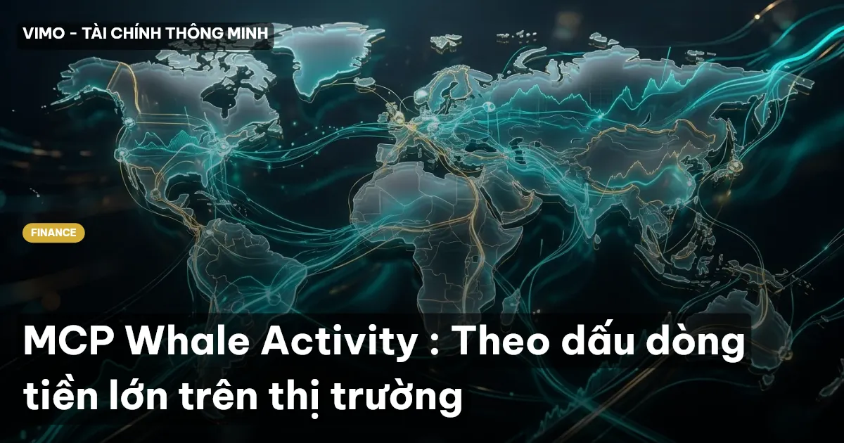 MCP Whale Activity : Theo dấu dòng tiền lớn trên thị trường