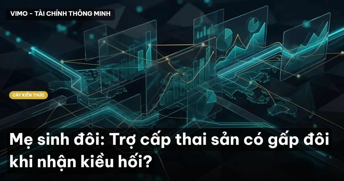 Mẹ sinh đôi: Trợ cấp thai sản có gấp đôi khi nhận kiều hối?