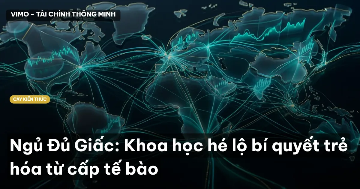 Ngủ Đủ Giấc: Khoa học hé lộ bí quyết trẻ hóa từ cấp tế bào