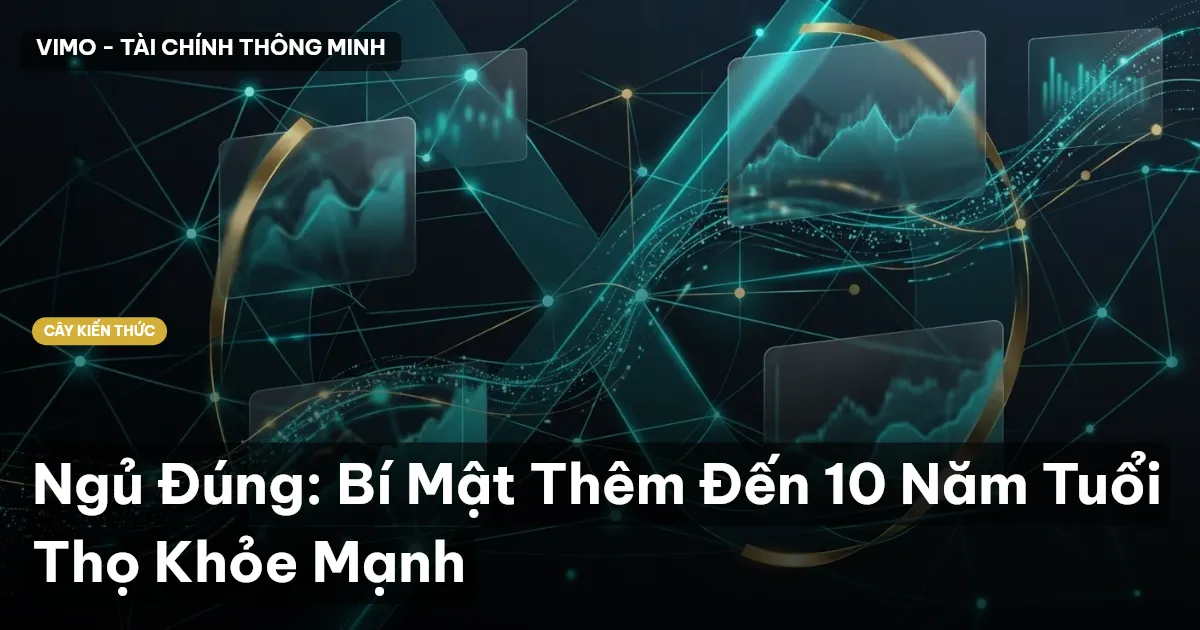Ngủ Đúng: Bí Mật Thêm Đến 10 Năm Tuổi Thọ Khỏe Mạnh