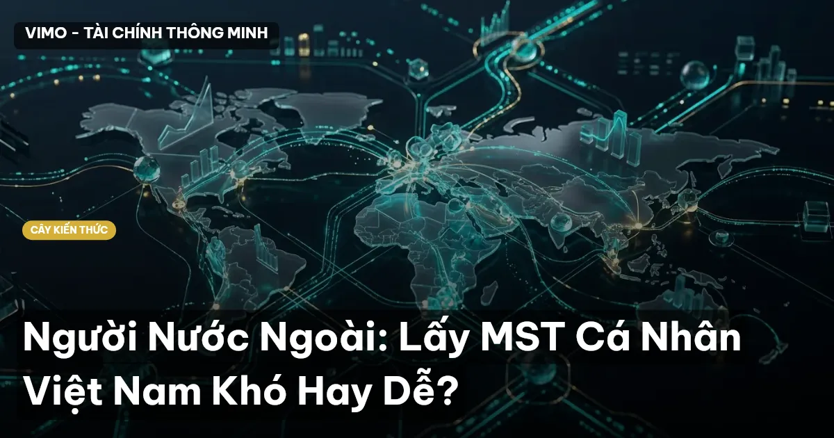 Người Nước Ngoài: Lấy MST Cá Nhân Việt Nam Khó Hay Dễ?
