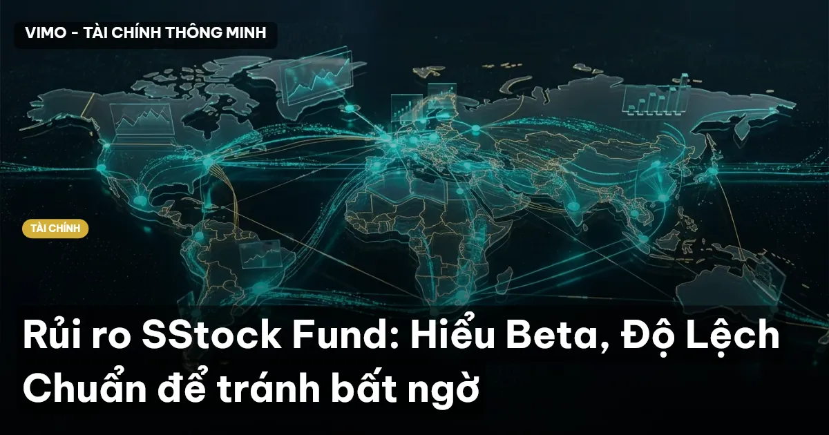 rủi ro SStock Fund
