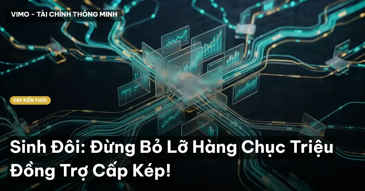 Sinh Đôi: Đừng Bỏ Lỡ Hàng Chục Triệu Đồng Trợ Cấp Kép!
