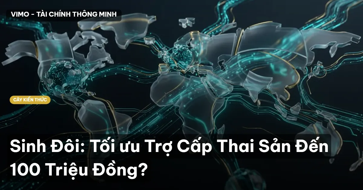 Sinh Đôi: Tối ưu Trợ Cấp Thai Sản Đến 100 Triệu Đồng?