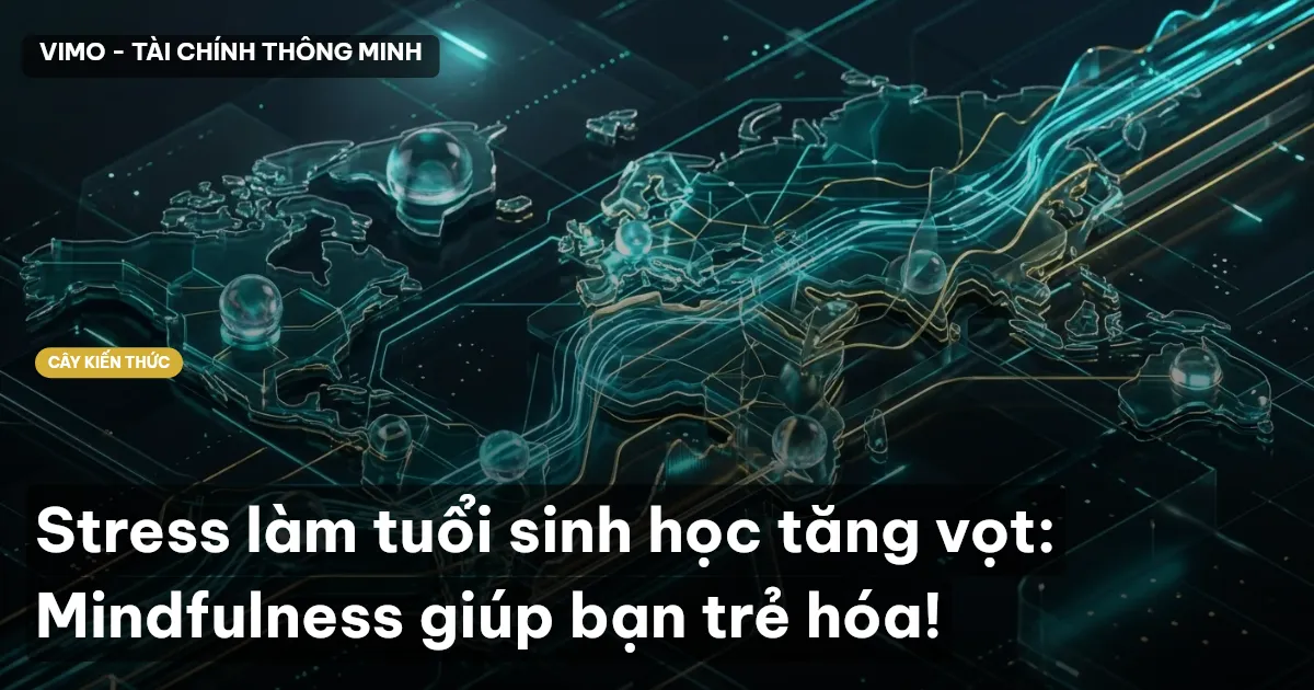 Stress làm tuổi sinh học tăng vọt: Mindfulness giúp bạn trẻ hóa!