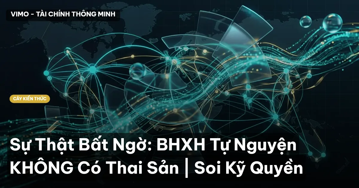 Sự Thật Bất Ngờ: BHXH Tự Nguyện KHÔNG Có Thai Sản | Soi Kỹ Quyền