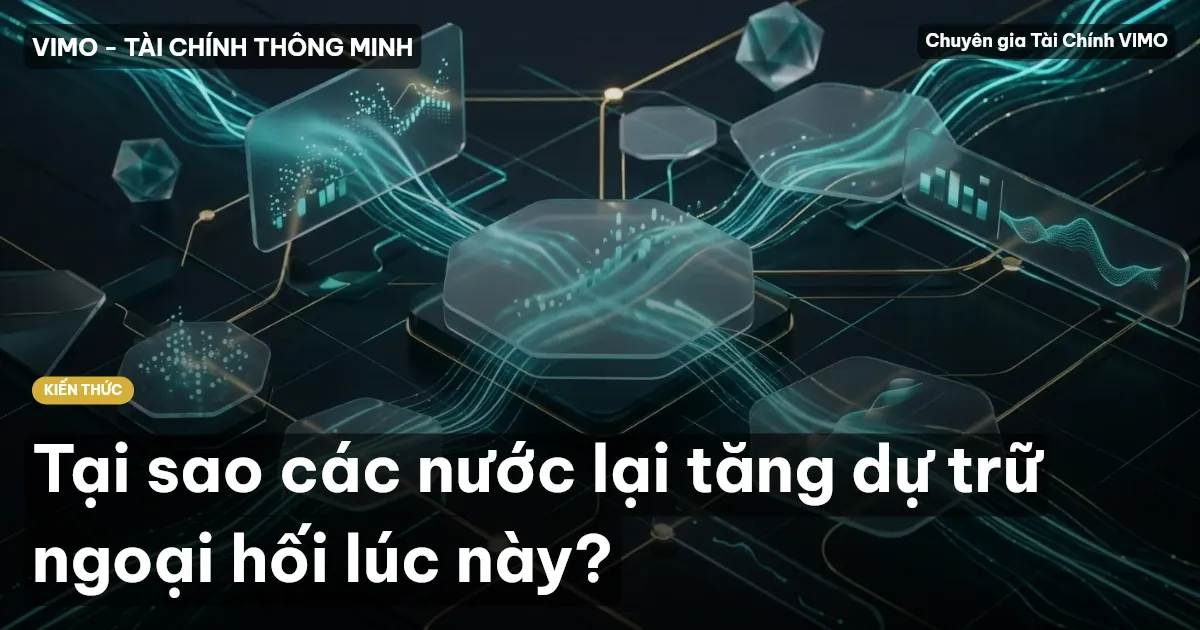 Tại sao các nước lại tăng dự trữ ngoại hối lúc này?