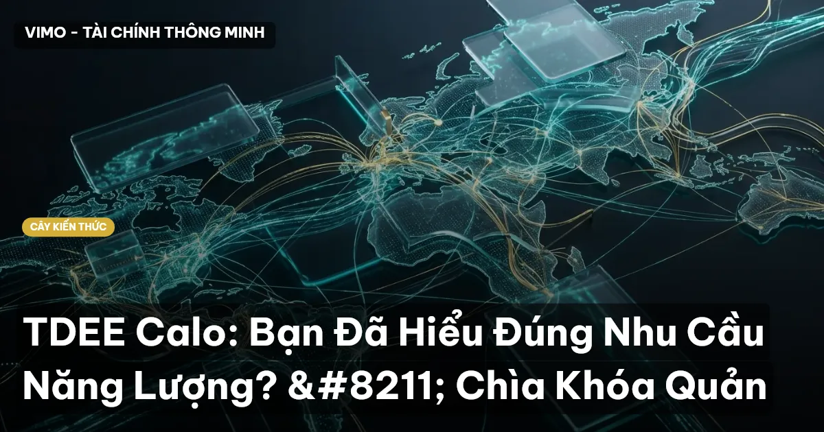TDEE Calo: Bạn Đã Hiểu Đúng Nhu Cầu Năng Lượng? – Chìa Khóa Quản
