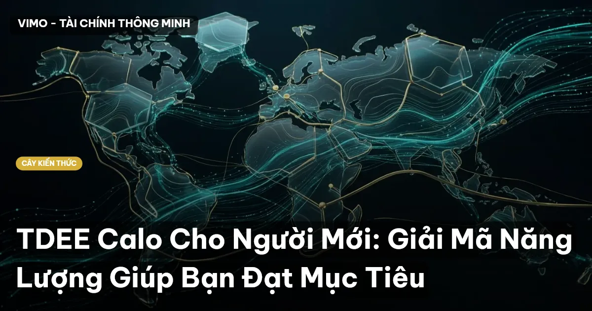 TDEE Calo Cho Người Mới: Giải Mã Năng Lượng Giúp Bạn Đạt Mục Tiêu