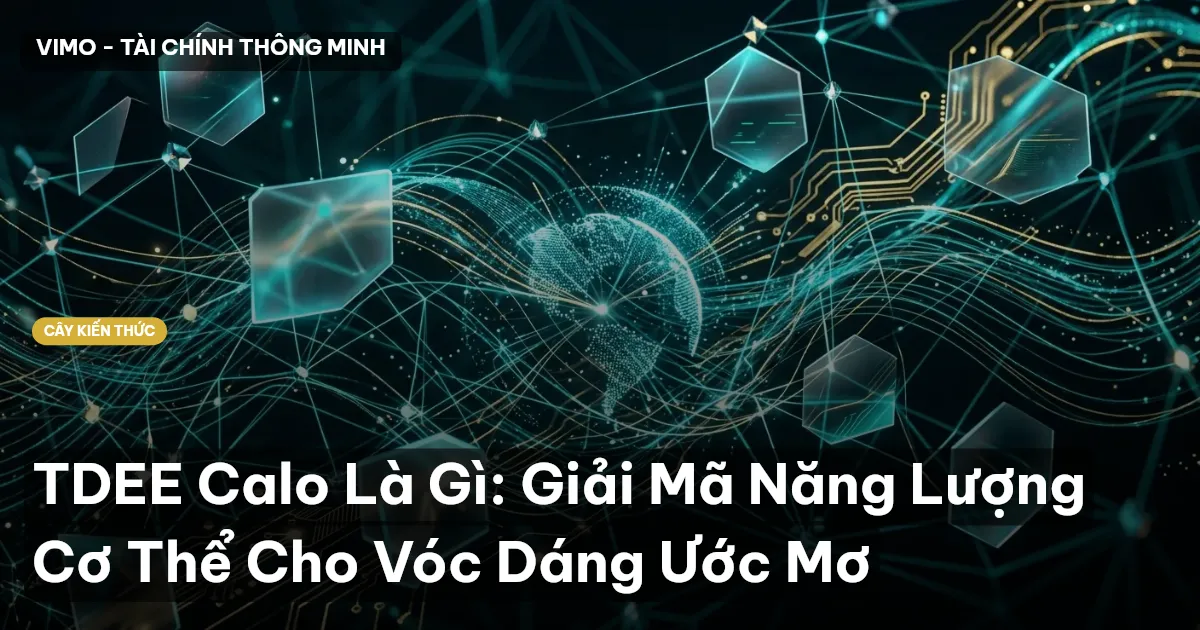 TDEE Calo Là Gì: Giải Mã Năng Lượng Cơ Thể Cho Vóc Dáng Ước Mơ