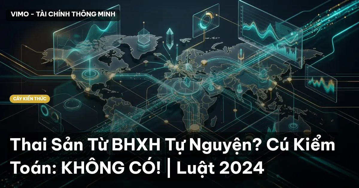 Thai Sản Từ BHXH Tự Nguyện? Cú Kiểm Toán: KHÔNG CÓ! | Luật 2024