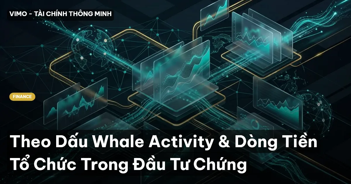 Theo Dấu Whale Activity & Dòng Tiền Tổ Chức Trong Đầu Tư Chứng