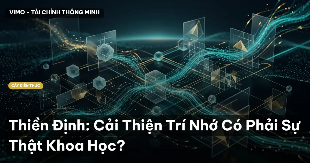 Thiền Định: Cải Thiện Trí Nhớ Có Phải Sự Thật Khoa Học?