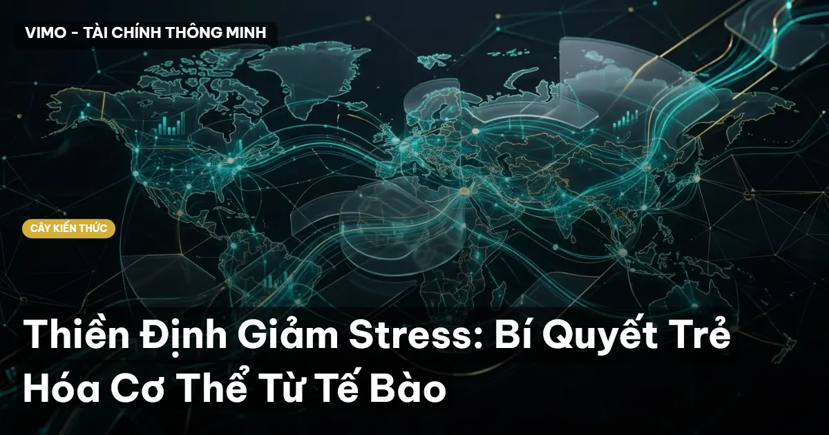 Thiền Định Giảm Stress: Bí Quyết Trẻ Hóa Cơ Thể Từ Tế Bào
