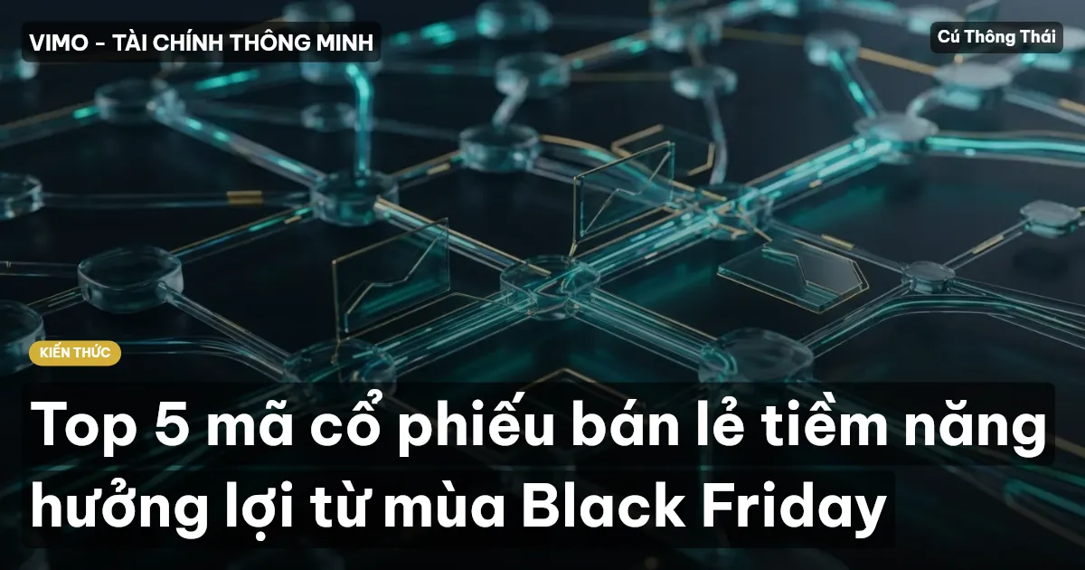 Top 5 mã cổ phiếu bán lẻ tiềm năng hưởng lợi từ mùa Black Friday
