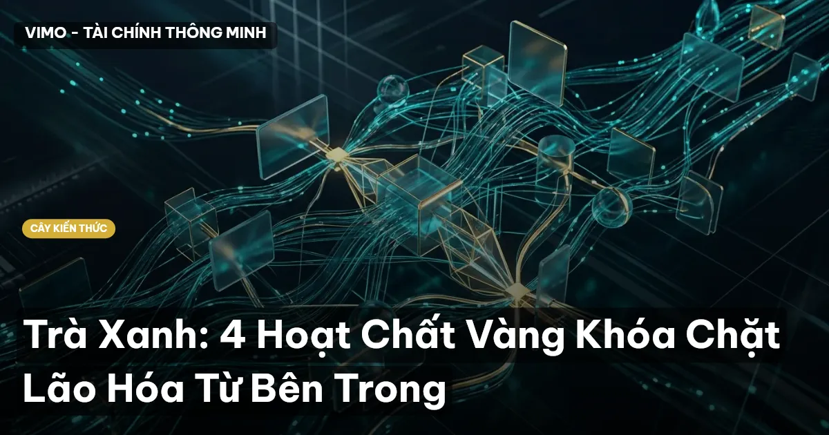 Trà Xanh: 4 Hoạt Chất Vàng Khóa Chặt Lão Hóa Từ Bên Trong