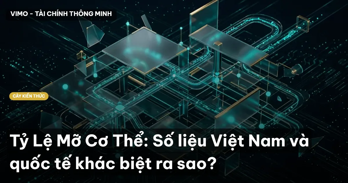 Tỷ Lệ Mỡ Cơ Thể: Số liệu Việt Nam và quốc tế khác biệt ra sao?