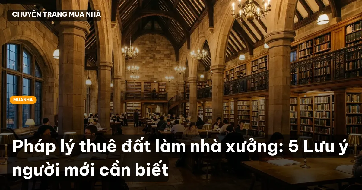 Pháp lý thuê đất làm nhà xưởng: 5 Lưu ý người mới cần biết