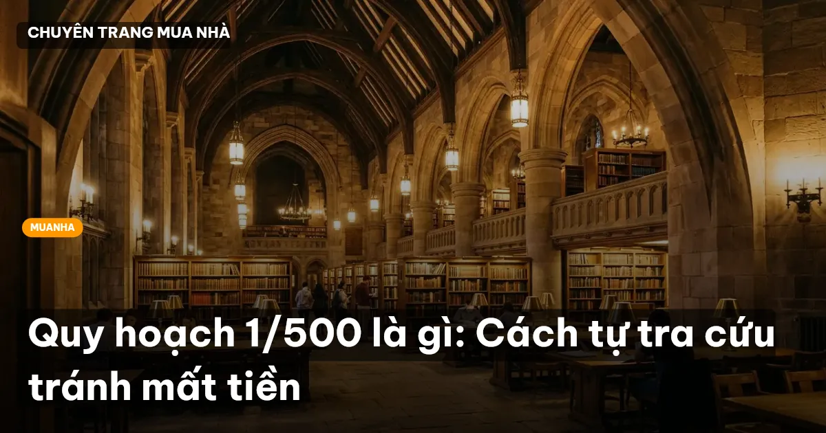 Quy hoạch 1/500 là gì: Cách tự tra cứu tránh mất tiền